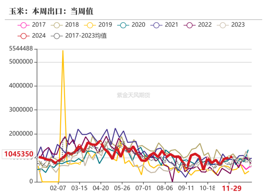 玉米：静待花开