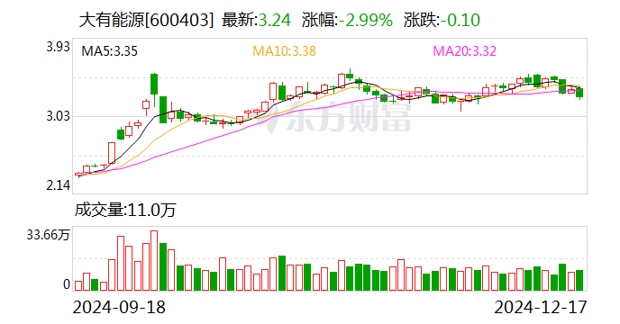 大有能源：董事邵轩、董事兼总经理张林辞职